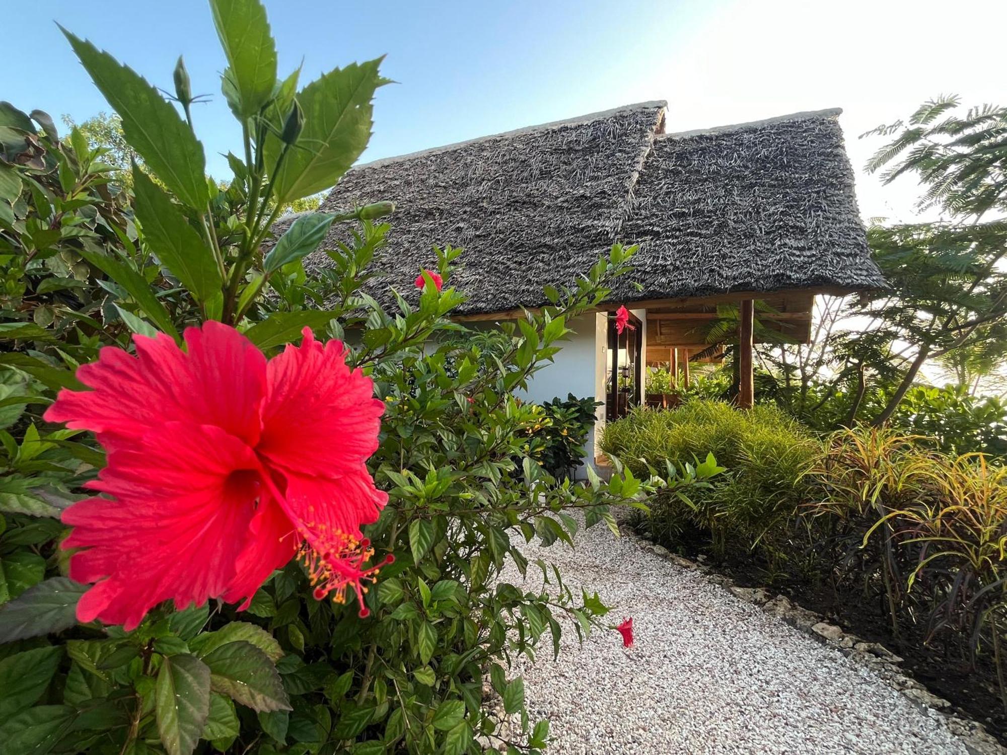 Hotel Kidoti Bay Extérieur photo